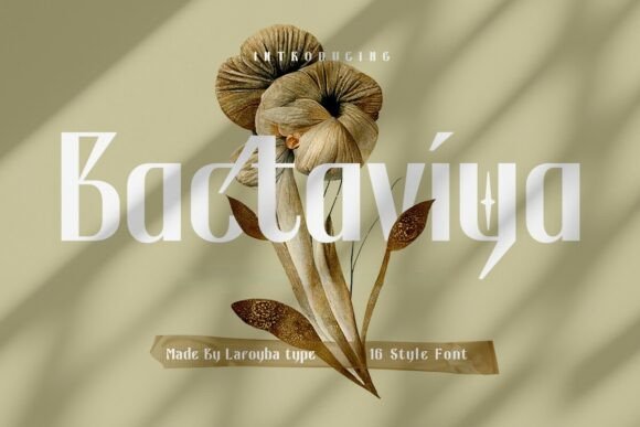 Bactaviya Typeface Review for Modern Branding